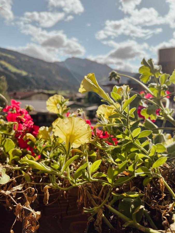 Apartment Goldene Mitte Aschau Im Zillertal Екстер'єр фото